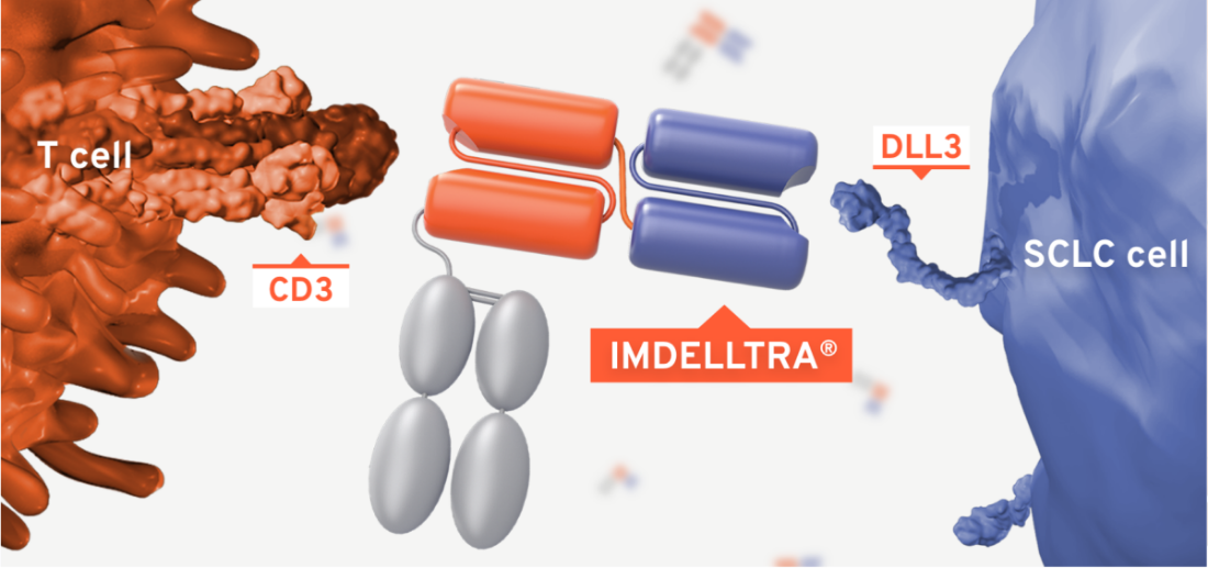 IMDELLTRA® targeting the DLL3 antigen while engaging patient's own T cells